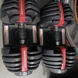 Bowflex Dumbells $180firm 