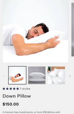 2 pack White Down Pillow