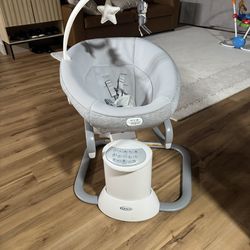 Graco Baby Swing And Removable Rocker