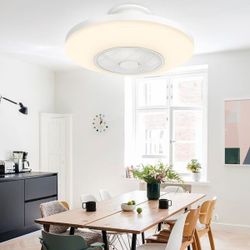 20" Low Profile Enclosed Ceiling Fan with LED Light