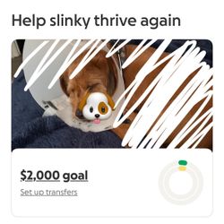Life Saving 🐶 Fundraiser 