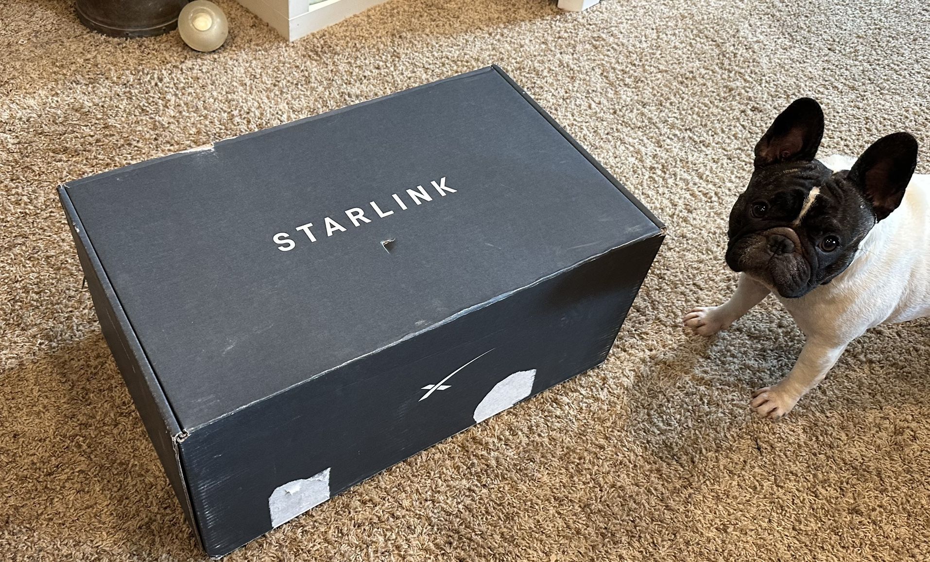 Starlink- Never Been Used
