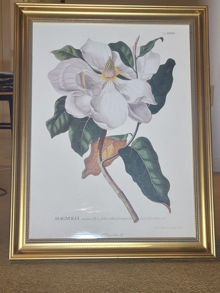 28×21 Floral Painting