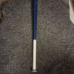 Tater SB 34” 31oz Official Softball Bat In Blue