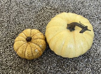 Pumpkins