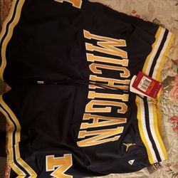 Men’s Jordan Michigan Shorts 