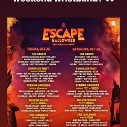 ESCAPE TICKET! 2 DAY WRISTBAND!