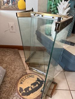 Fireplace glass doors
