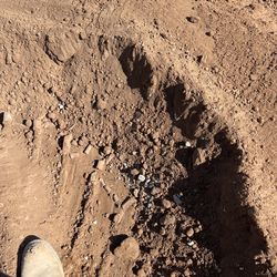 Free Dirt