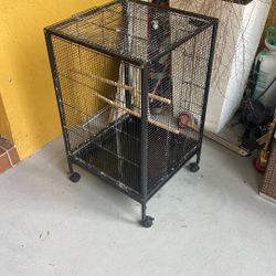 Bird Cage 