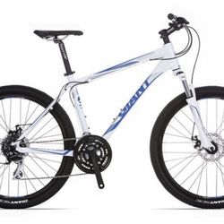 Giant mountain bike