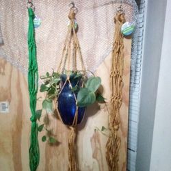 Macrame Plant Hangers