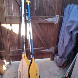 Oars $10 Each