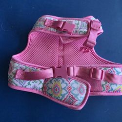 small girl  dog harness 