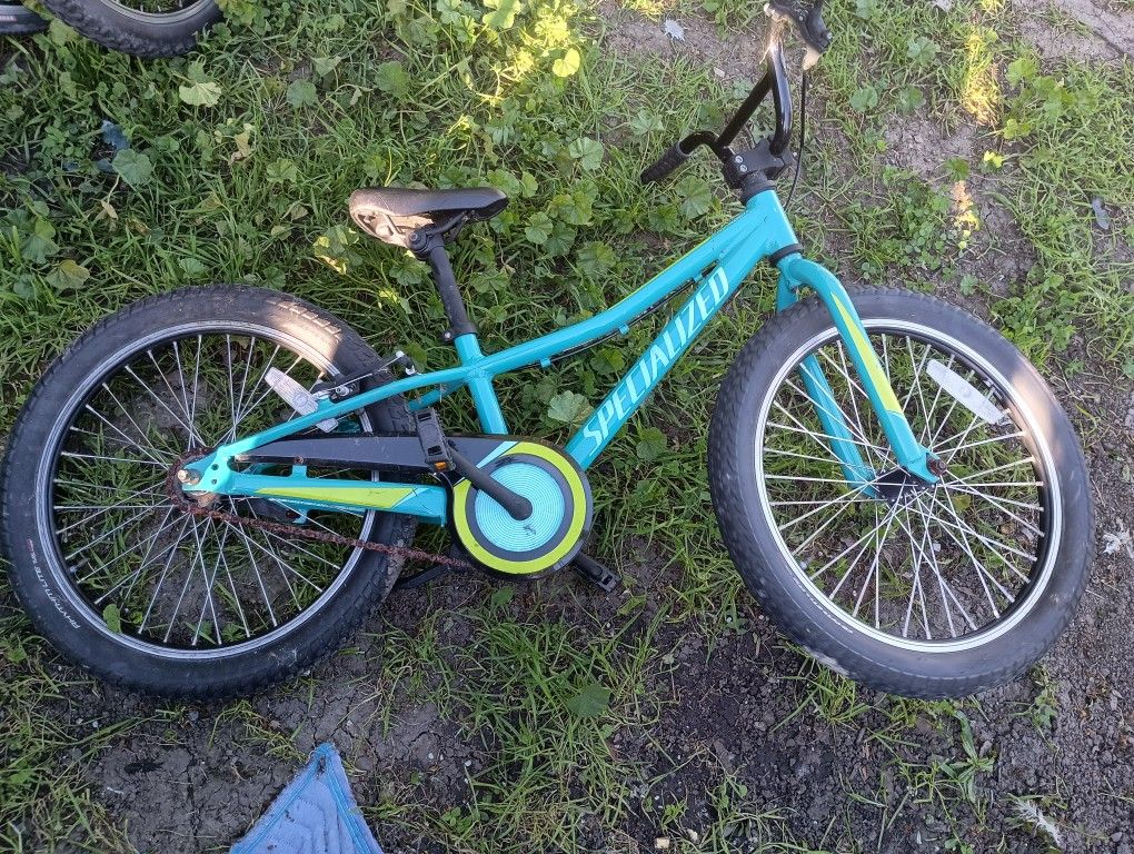 Specialized Riprock Coaster 20 Inch Girls Bike