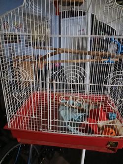 Bird Cage