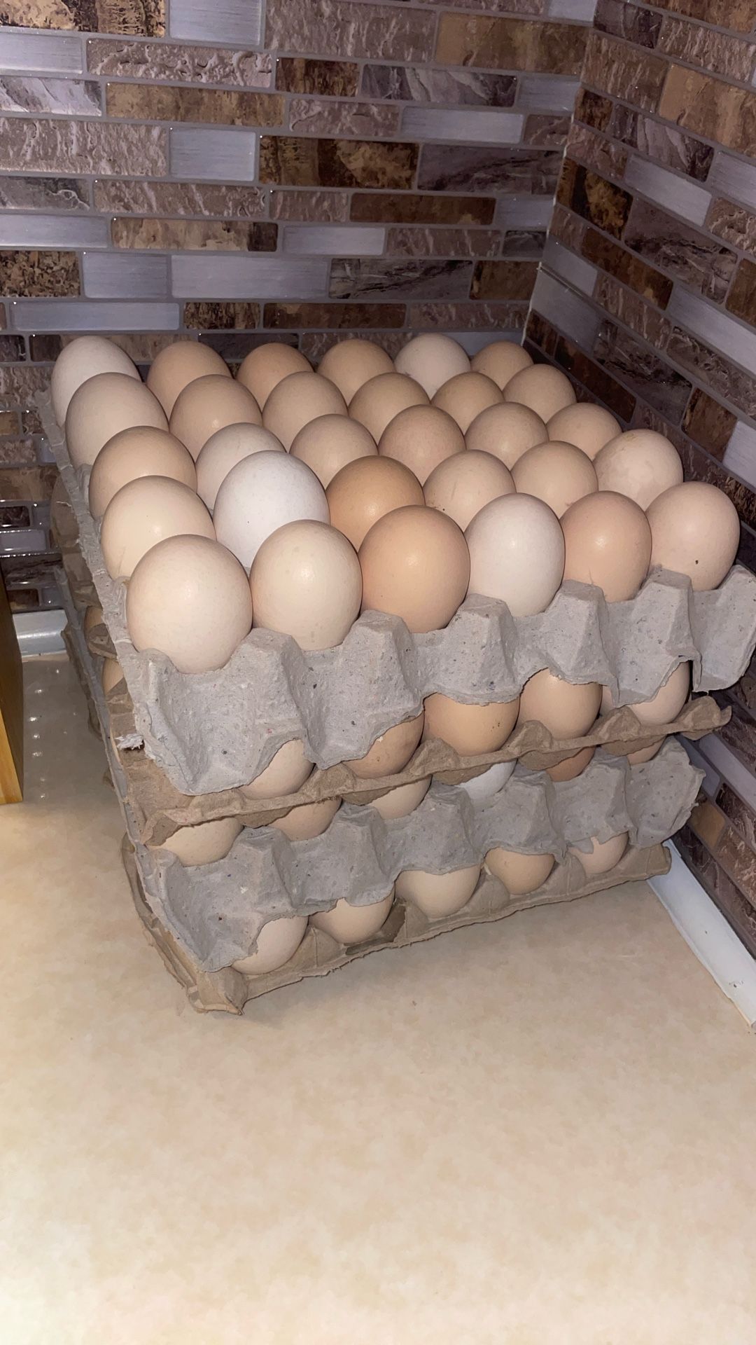 Double Yolk Chicken Eggs