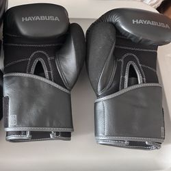 Hayabusa S4 16oz Boxing Gloves