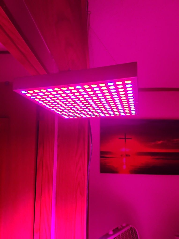 Growneer Grow Light