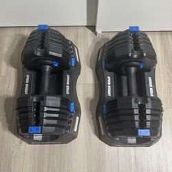 NordicTrack Dumbbells 
