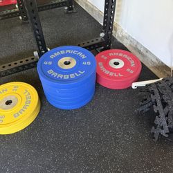 Trade: American Barbell Urethane Series: My 45’s for Your 55’s