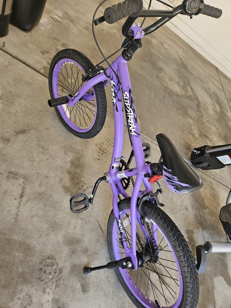 20 Inch Girl Bike