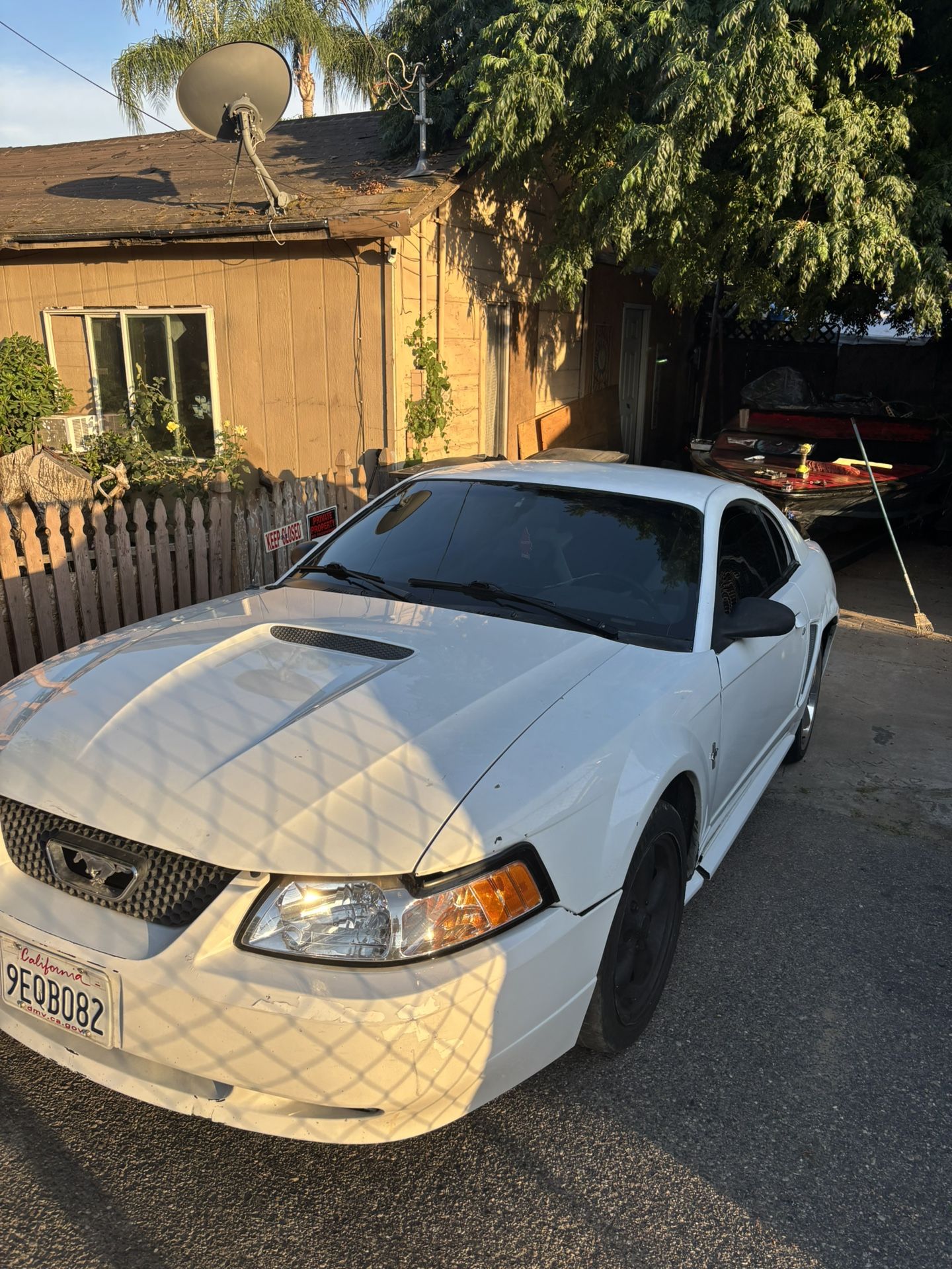 2002 Ford Mustang