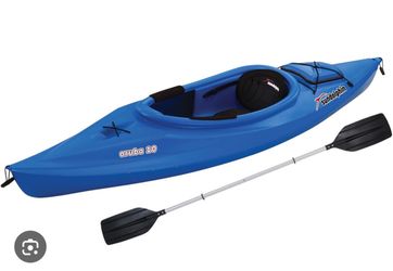 Kayak and bug zapper