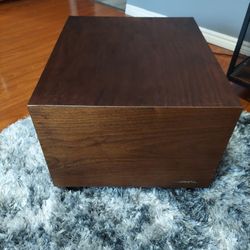 Realistic Vintage Subwoofer 