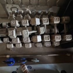 Weights 