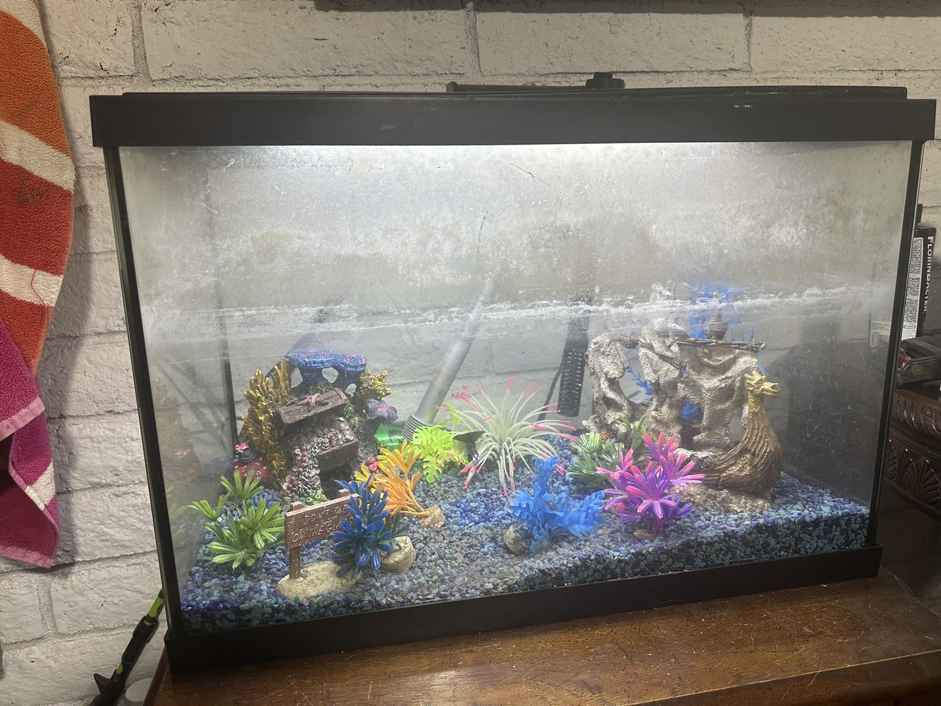 Fresh Water Aquarium