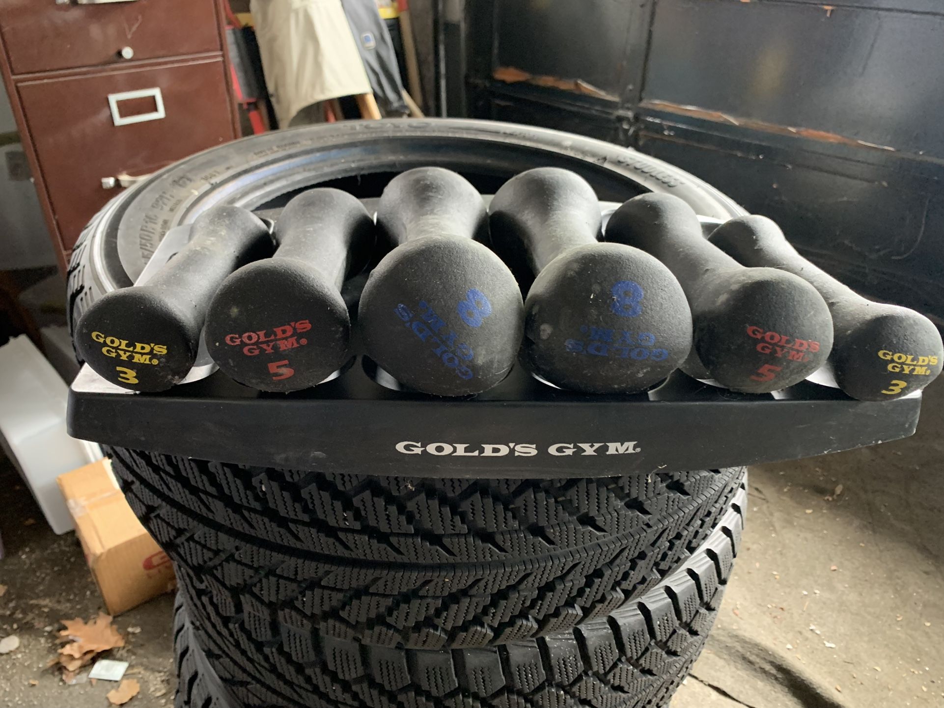 Golds Gym Vinyl Coated dumbbells