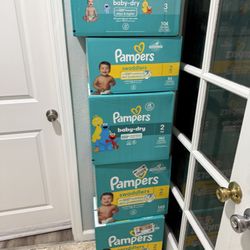 Pampers Diapers 