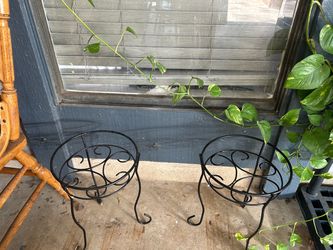 Plants bases $30 for both