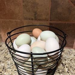 Fresh Eggs