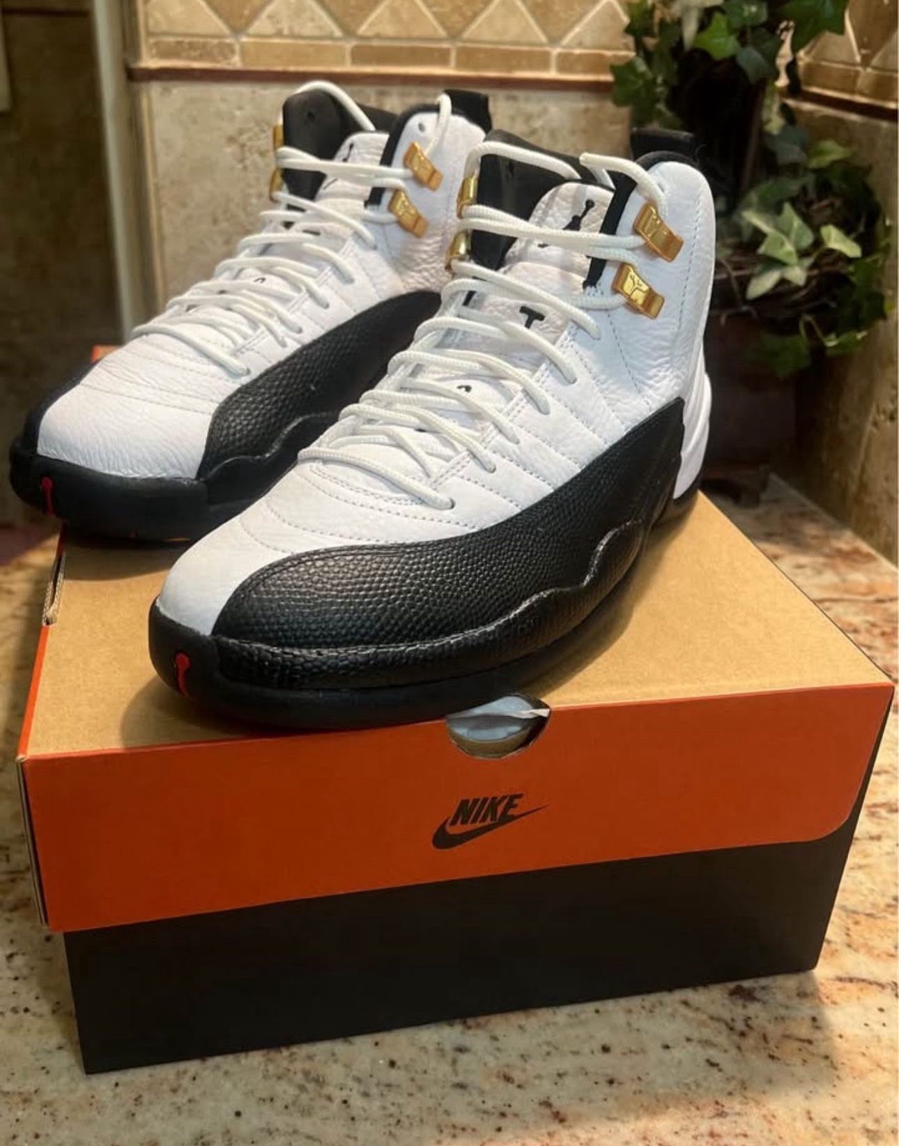 Jordan 12 Taxis