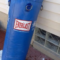 Everlast  Boxing/Punching Bag