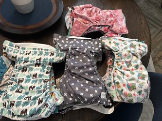 Cloth Diaper Lot 