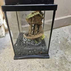 Fish Tank