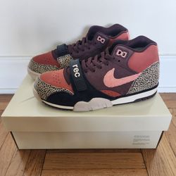 NEW - Nike SB Air Trainer 1 Arts-Rec Limestone, Size 9M