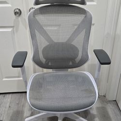  Dexley Ergonomic Mesh Swivel Task Chair, Gray (UN61365)