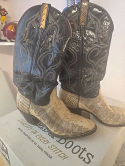 Tony Llama Python boots, 7 1\2 medium