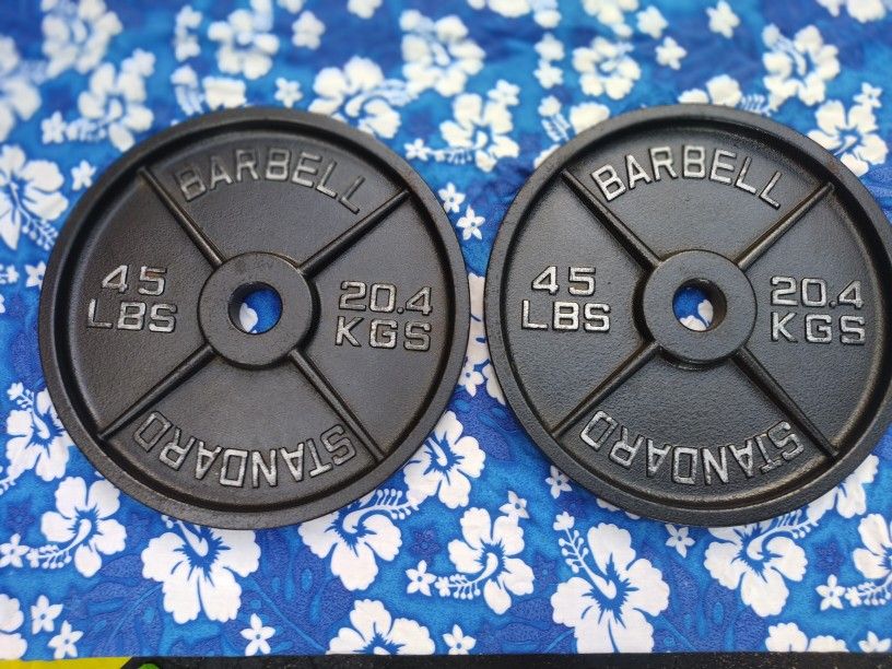 SHARP PAIR OF 45 POUND OLYMPIC PLATES