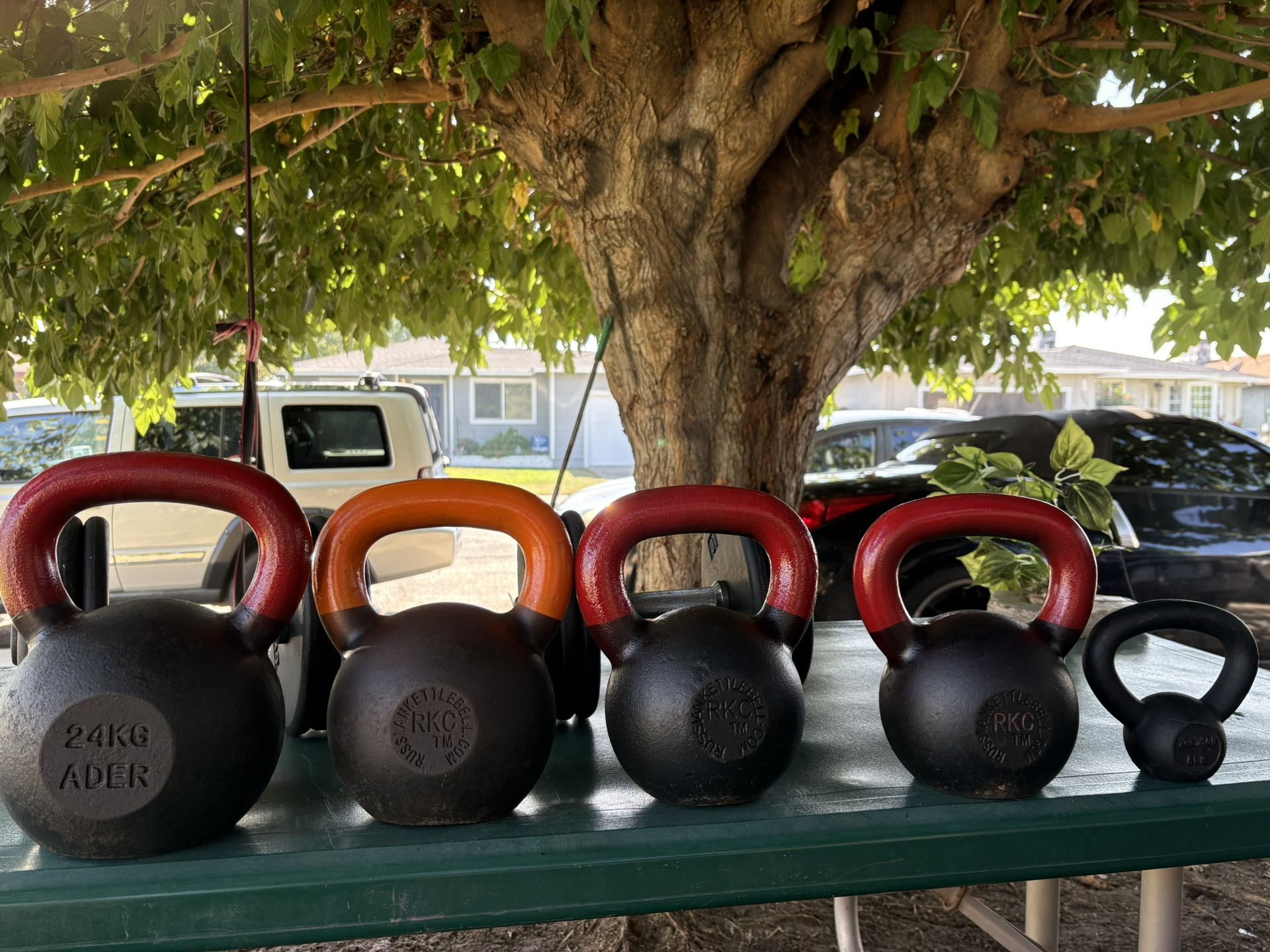 Russian Kettle Bell and Weights