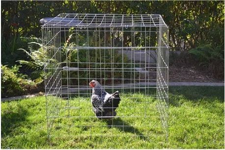 Gamefowl Pens