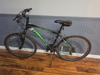Adult Bike