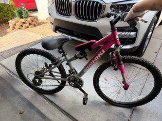 Nishiki Mountain Bike Pink and Gray