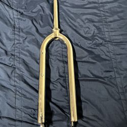 29 Inch Chrome Forks