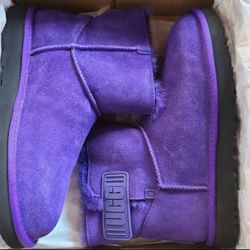 Purple Uggs 