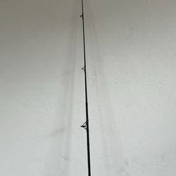 Shakespeare Contender Fishing Rod